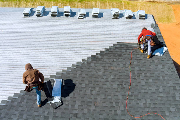 Best Rubber Roofing (EPDM, TPO)  in Hampden Sydney, VA