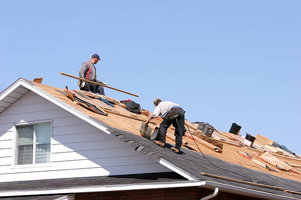 Best Roof Leak Repair  in Hampden Sydney, VA