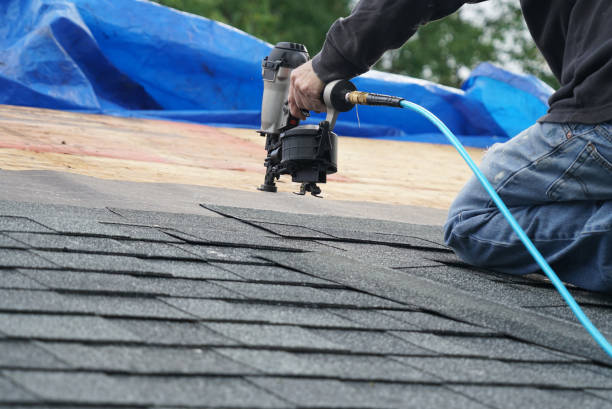 Best Roof Moss and Algae Removal  in Hampden Sydney, VA
